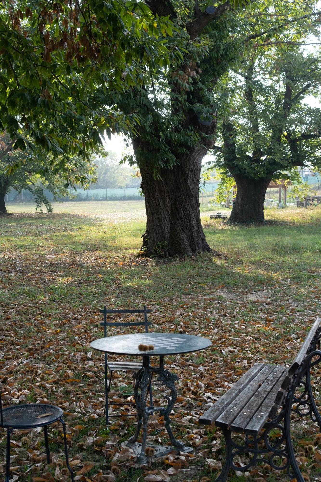 Il Riccio E La Castagna - Country House Montaldo Roero Buitenkant foto