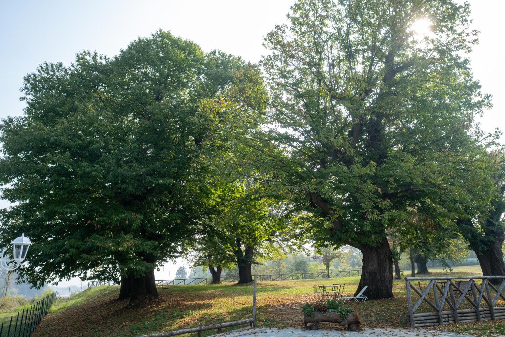 Il Riccio E La Castagna - Country House Montaldo Roero Buitenkant foto